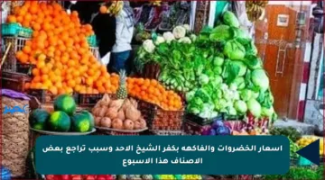 أسعار الخضروات والفاكهة بكفر الشيخ الأحد وسبب تراجع بعض الأصناف هذا الأسبوع